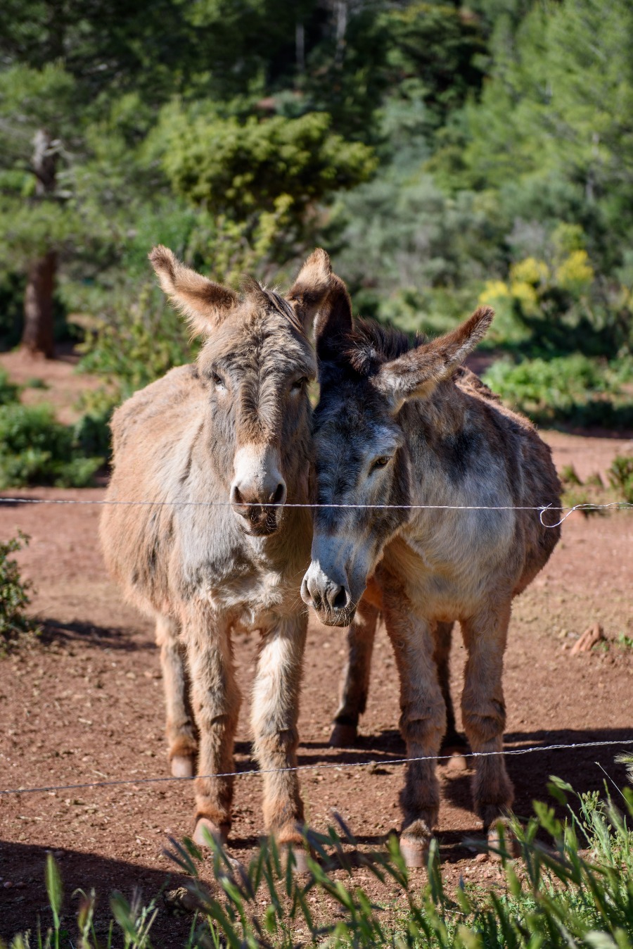 21- association le bastidon de lucie