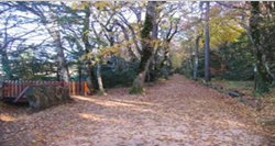 SENTIER RANDONNEE DE LA VOIE ROYALE lou bastidon