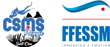 Logos-csms-ffessmhgjhn,